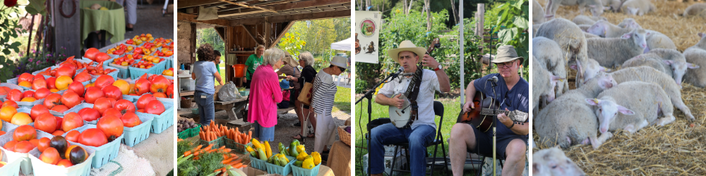 farm animals, performers, tomatoes